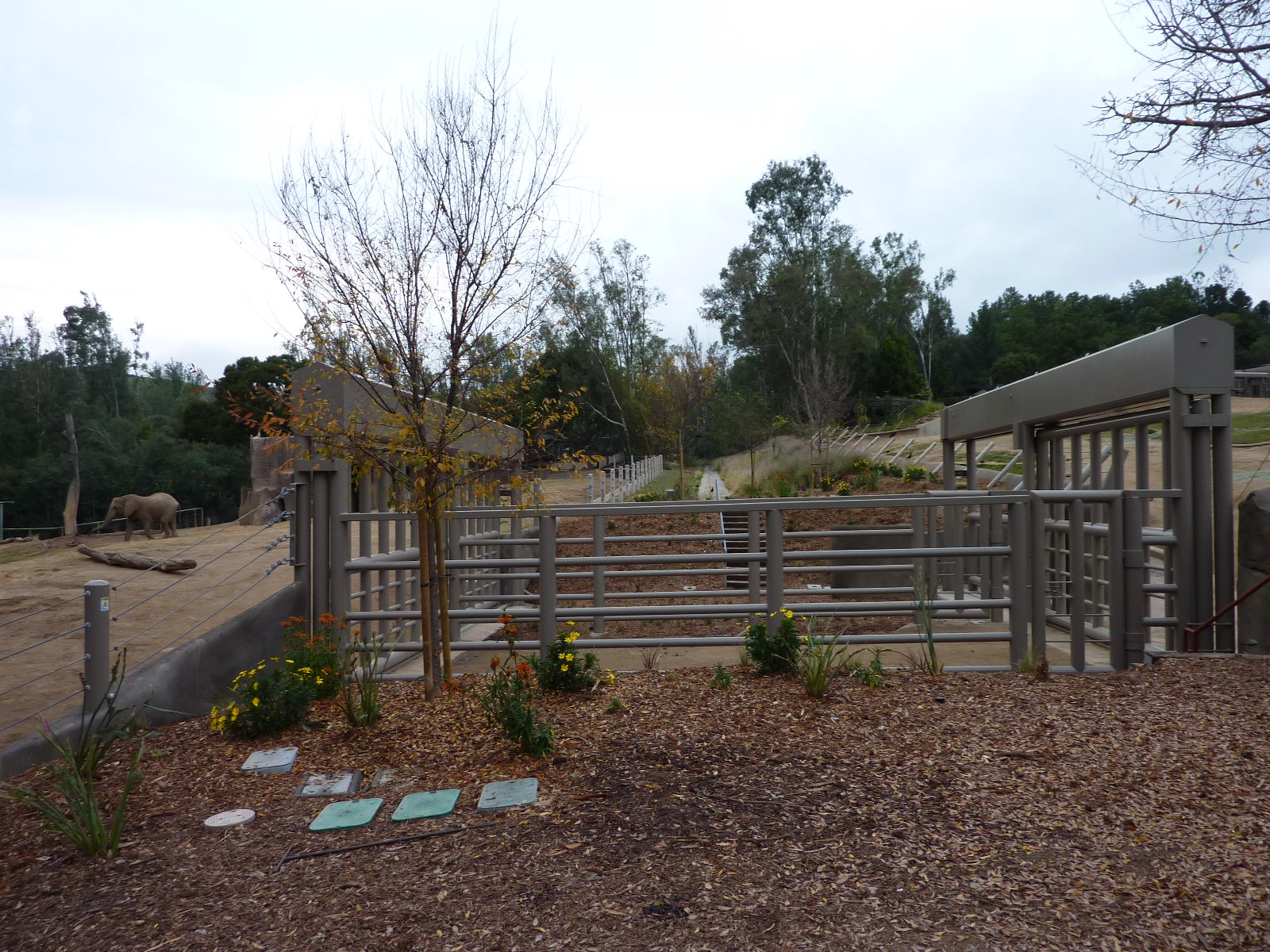 SDWAP Dec 2010 - New Elephant Gate