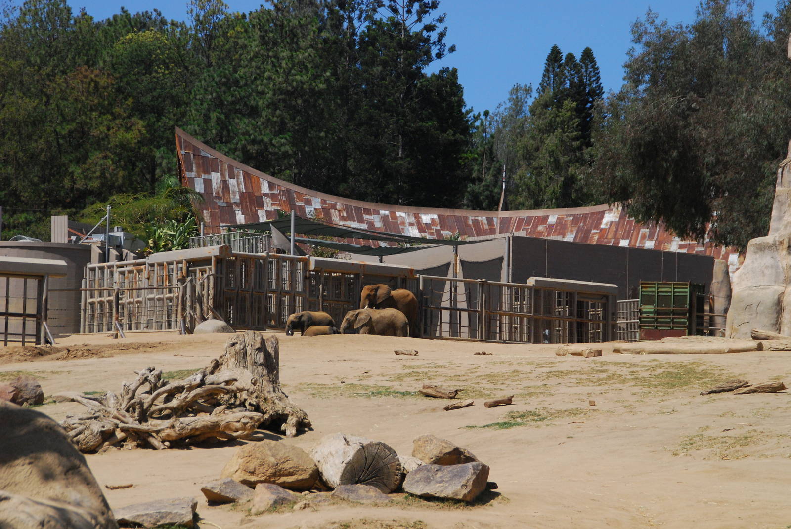 SDWAP - Elephant Exhibit - Sumatran Longhouse