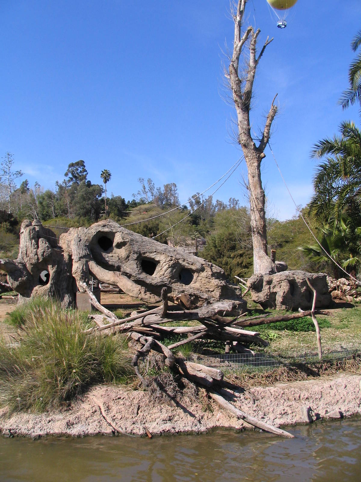 SDWAP - Heart of Africa Colobus Monkey Exhibit