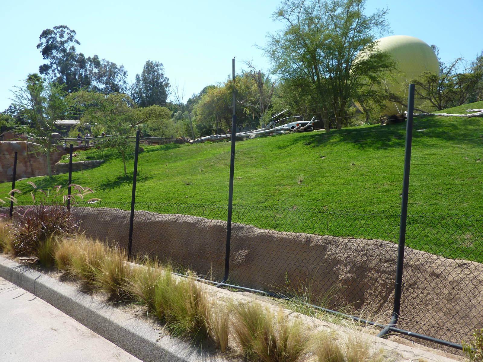 SDWAP - Modified Lion Exhibit from African Tram