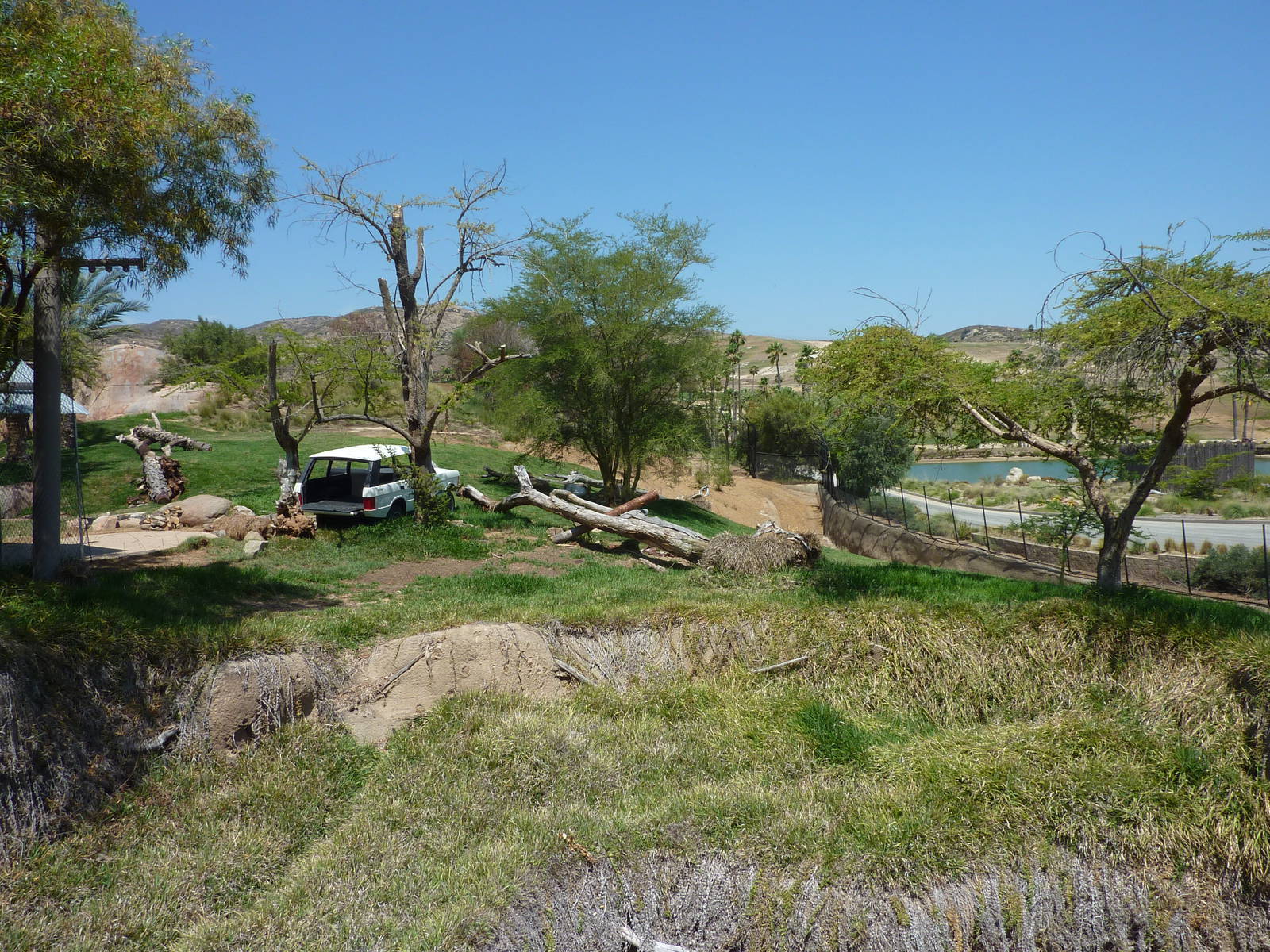 SDWAP - Modified Lion Exhibit