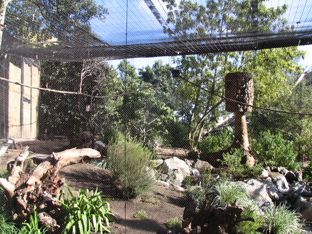 SDWAP - New Hornbill enclosure