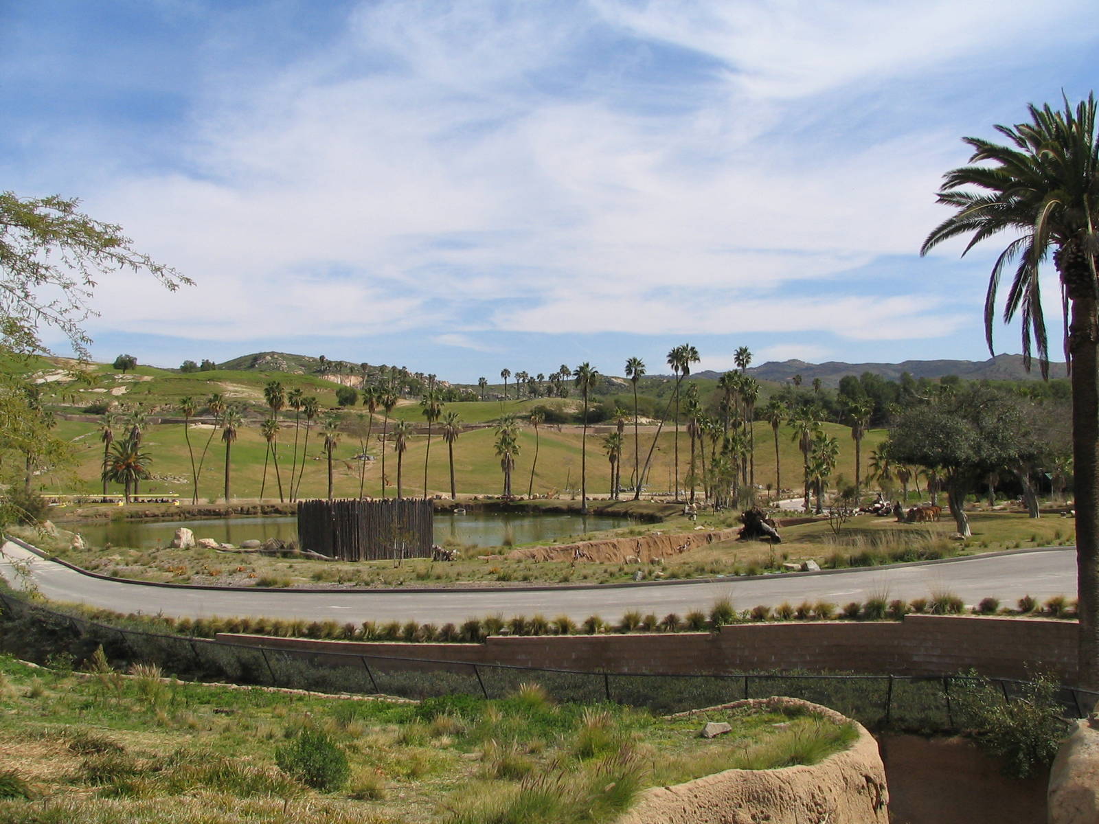 SDWAP - Nyala and East Africa