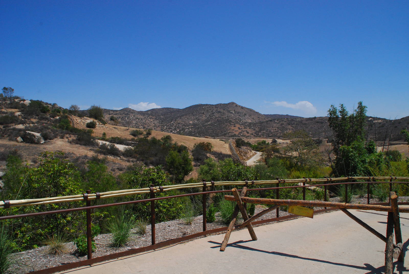 SDWAP - Tiger Trail - Asian Savanna