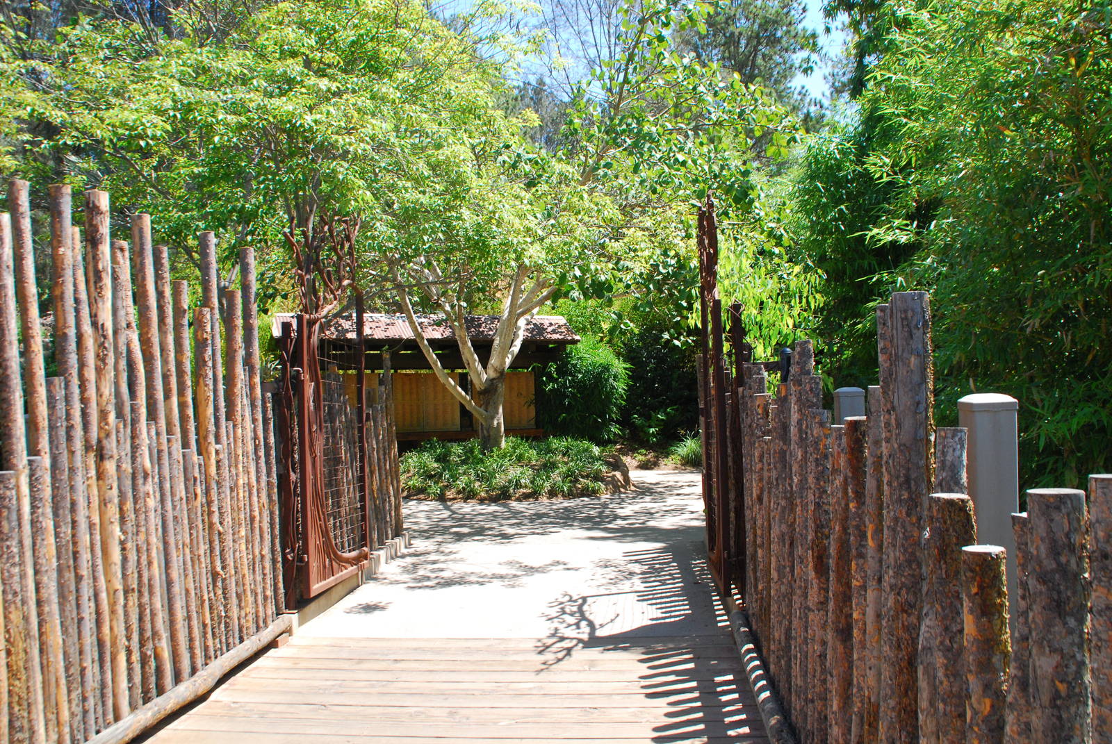 SDWAP - Tiger Trail - Bridge to Entry