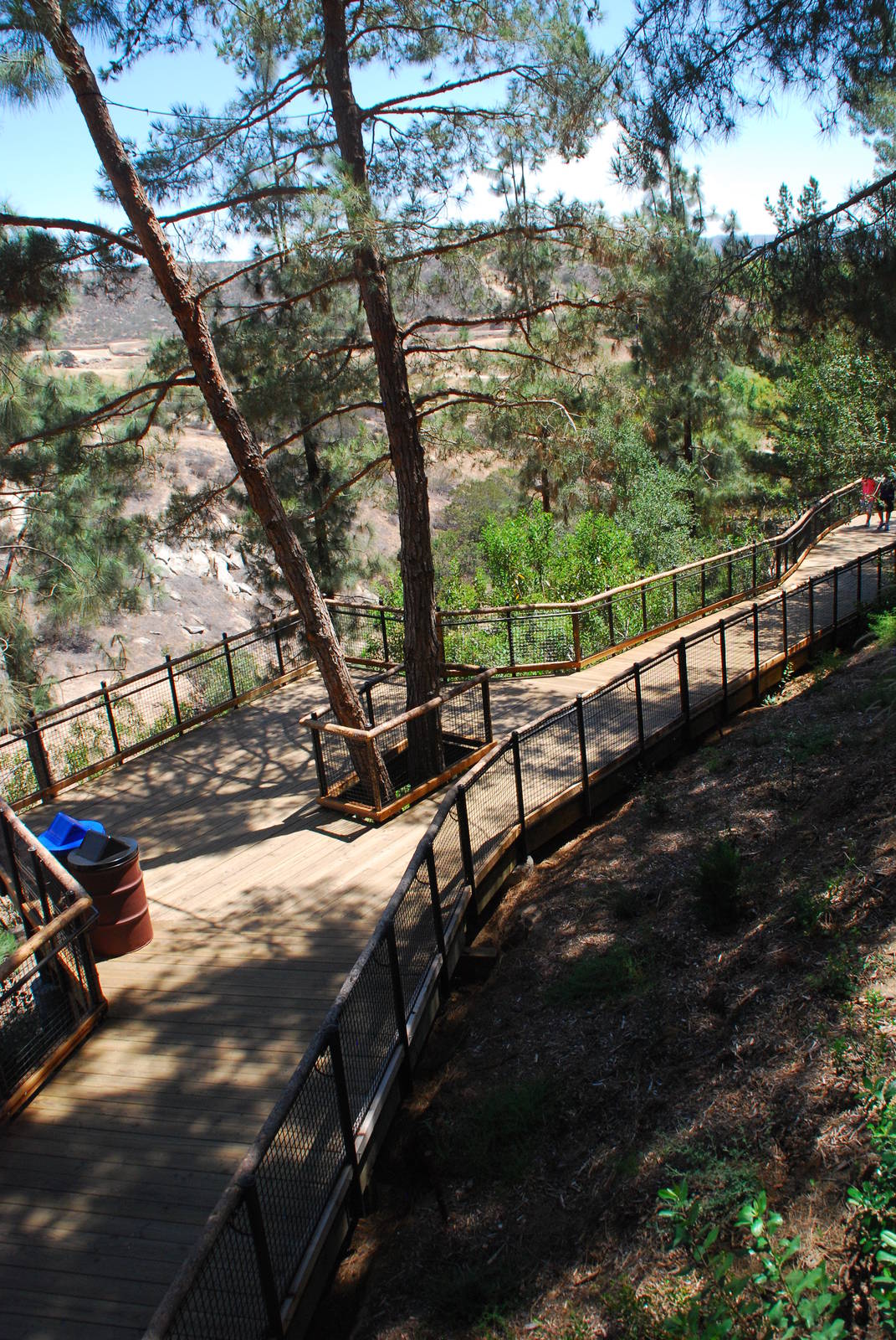 SDWAP - Tiger Trail - Condor Ridge Walkway