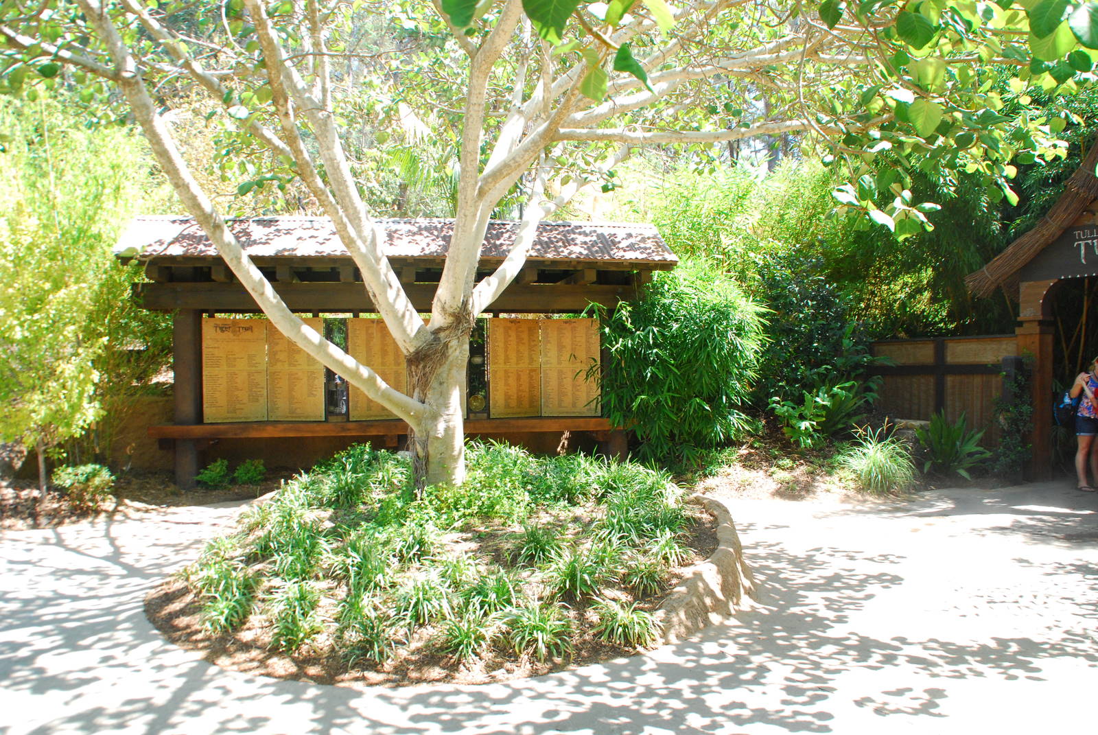 SDWAP - Tiger Trail - Donor Wall and Entry