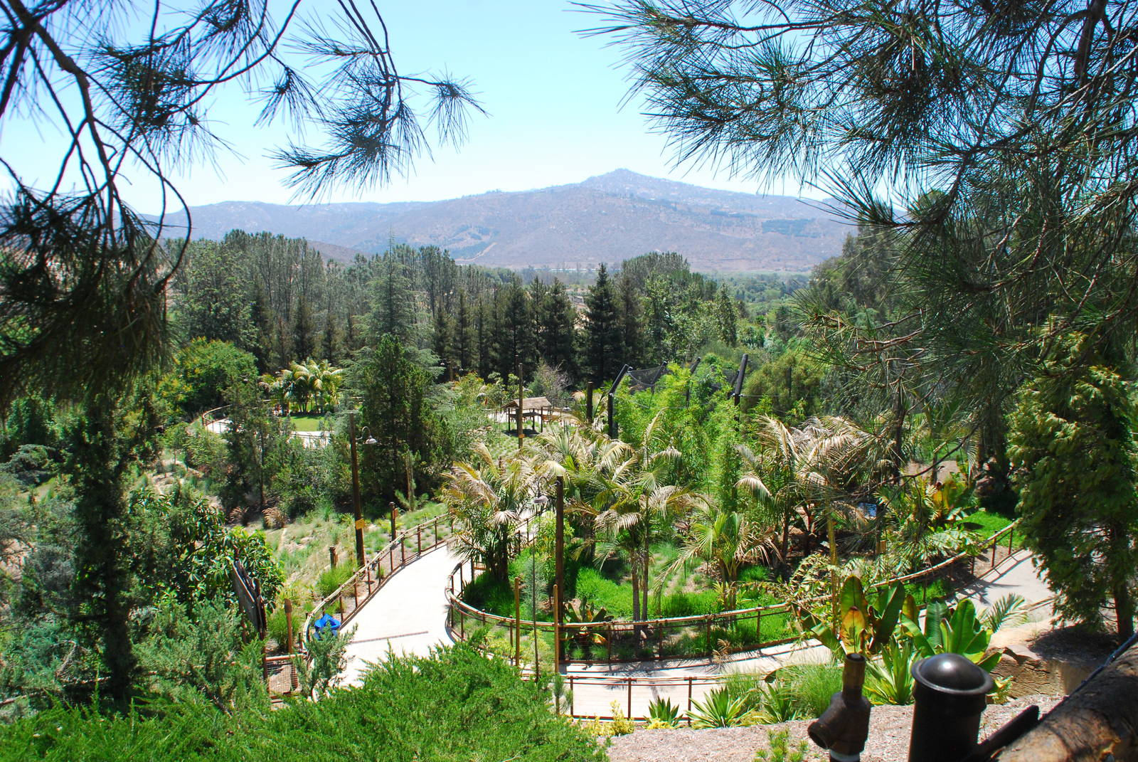 SDWAP - Tiger Trail - Ending