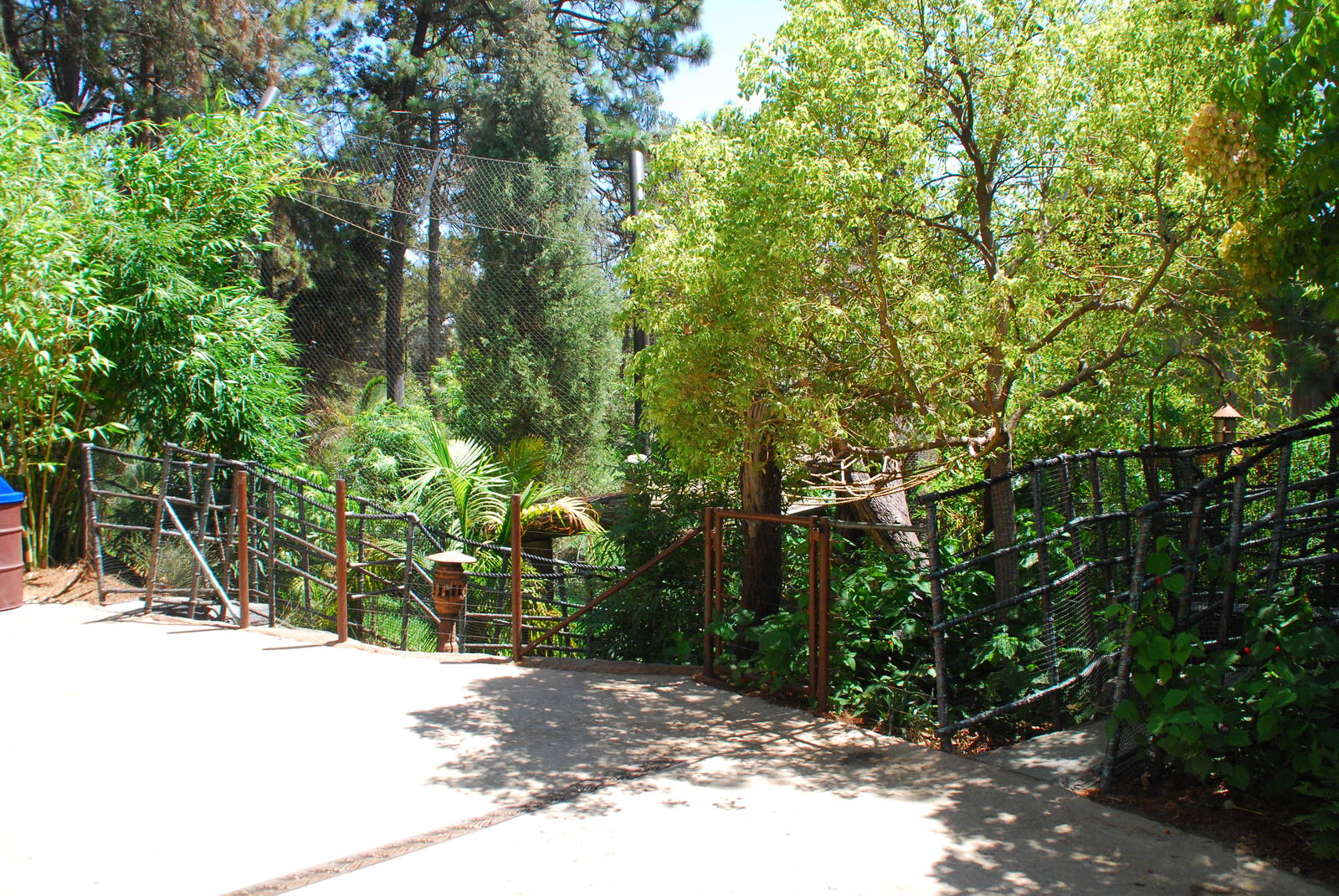 SDWAP - Tiger Trail - Log Walk