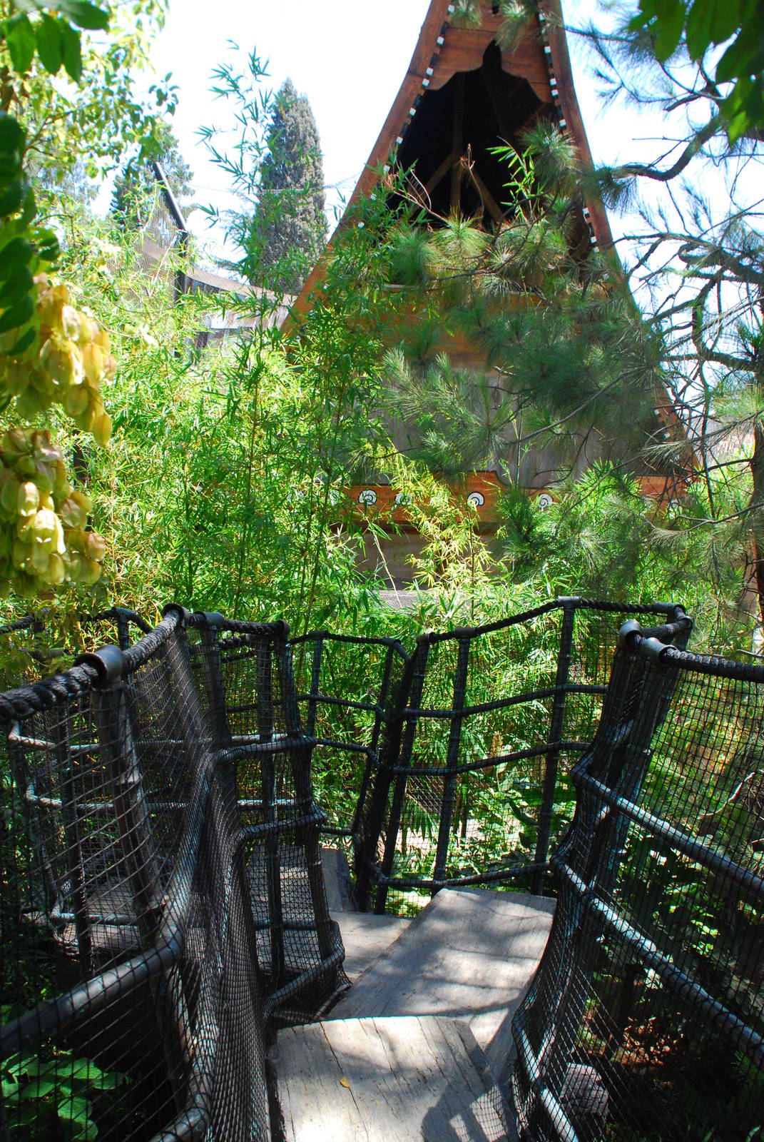 SDWAP - Tiger Trail - Log Walk