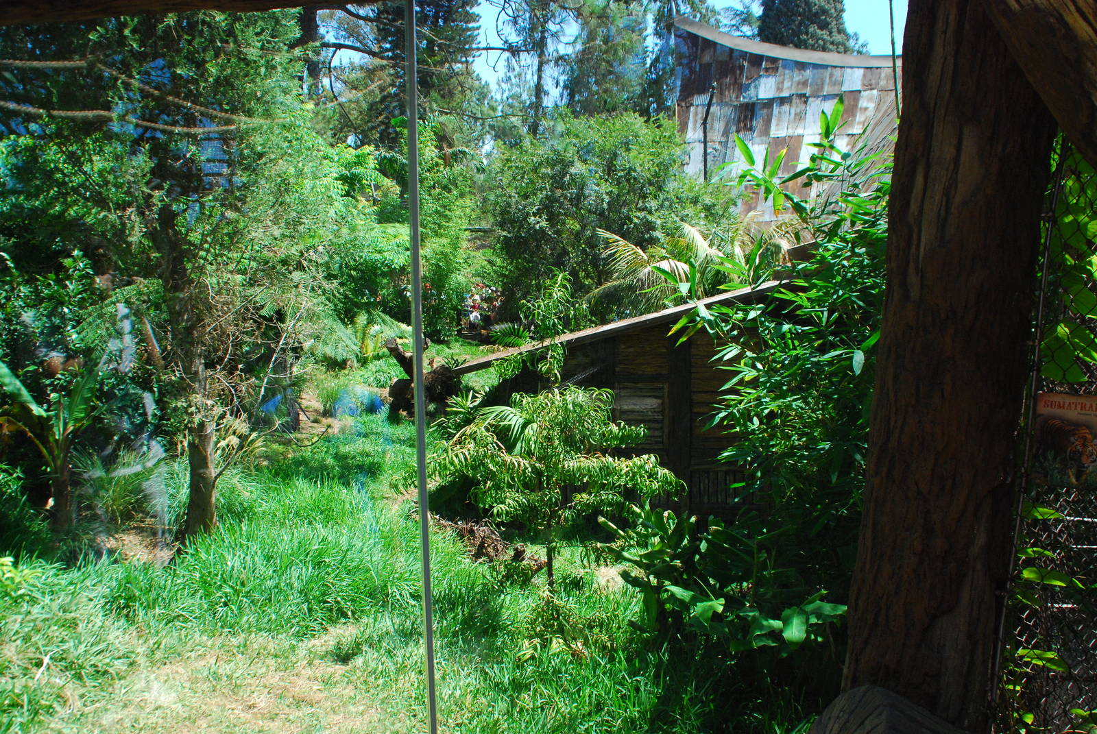 SDWAP - Tiger Trail - Log Walk