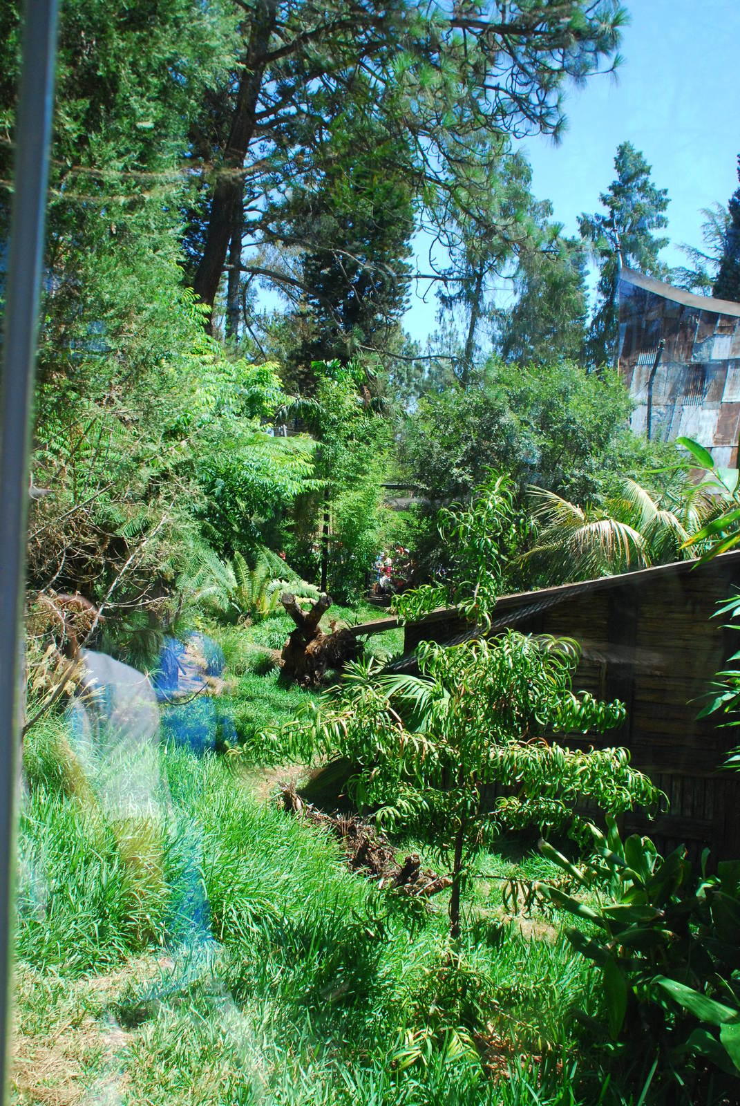 SDWAP - Tiger Trail - Log Walk