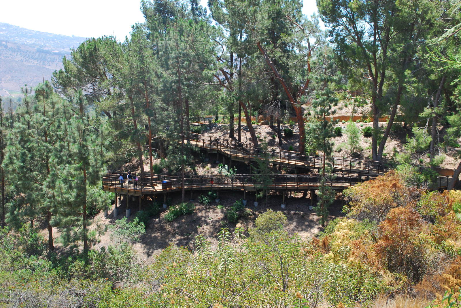 SDWAP - Tiger Trail - New Condor Ridge Walkway