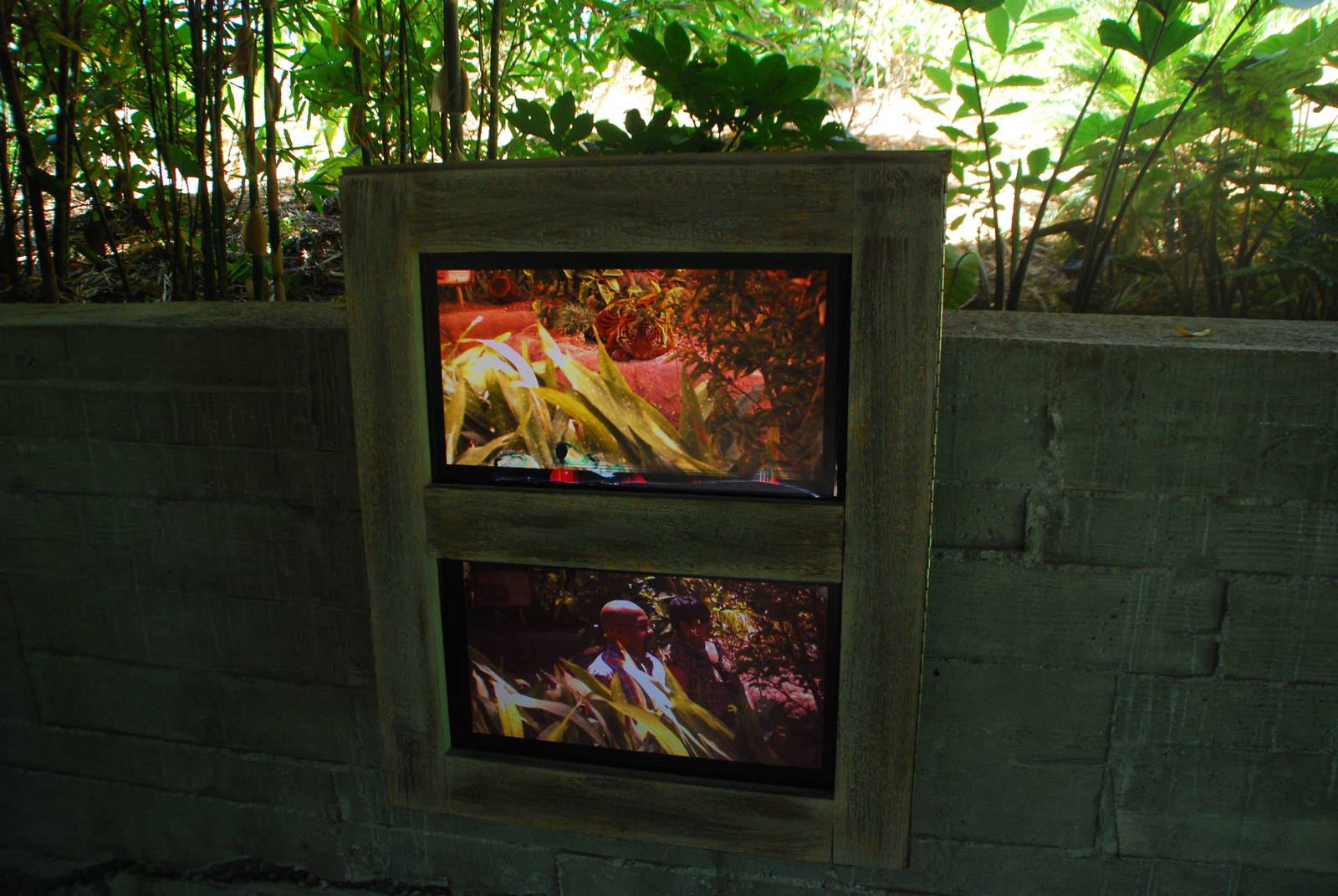 SDWAP - Tiger Trail - Pondok