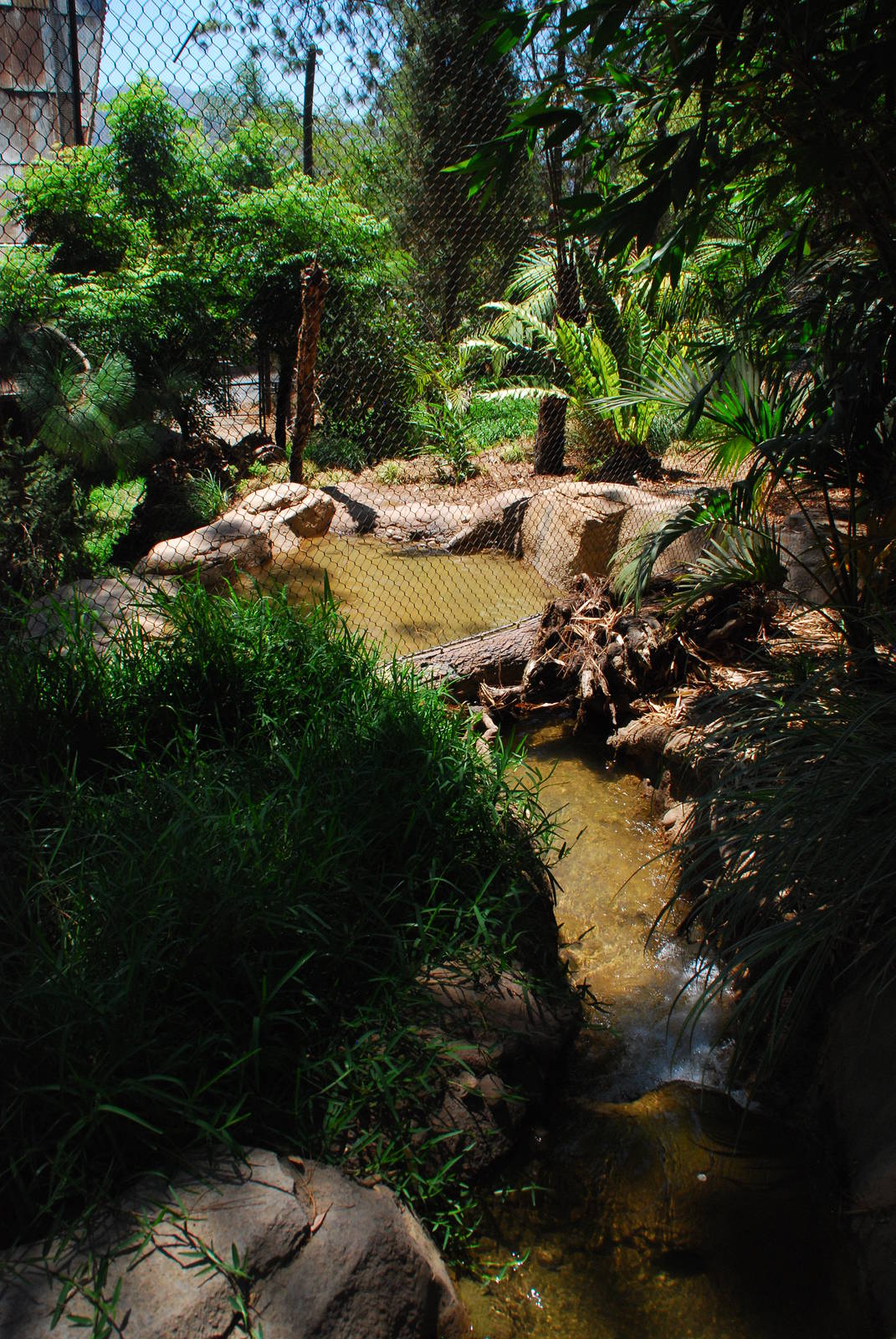 SDWAP - Tiger Trail - Pool