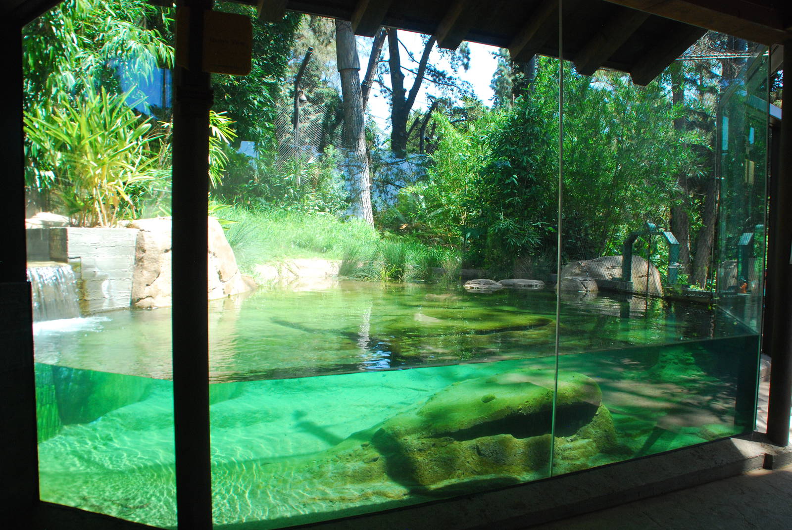 SDWAP - Tiger Trail - Split level water viewing