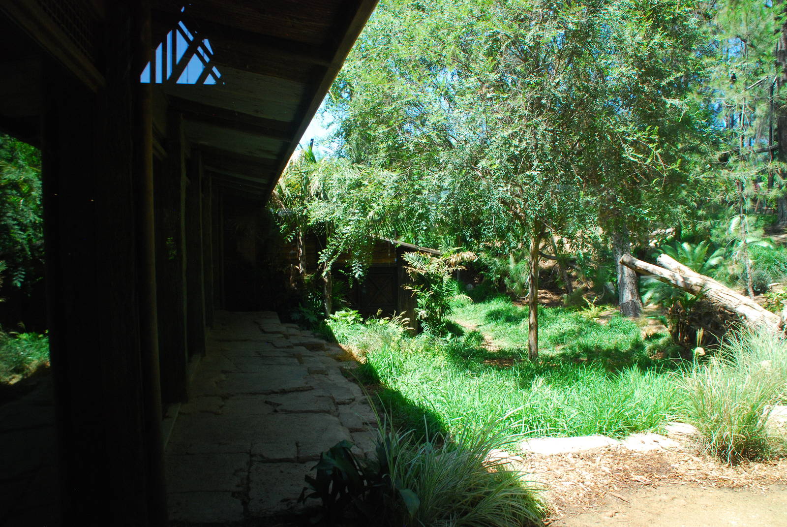 SDWAP - Tiger Trail - Sumatran Longhouse