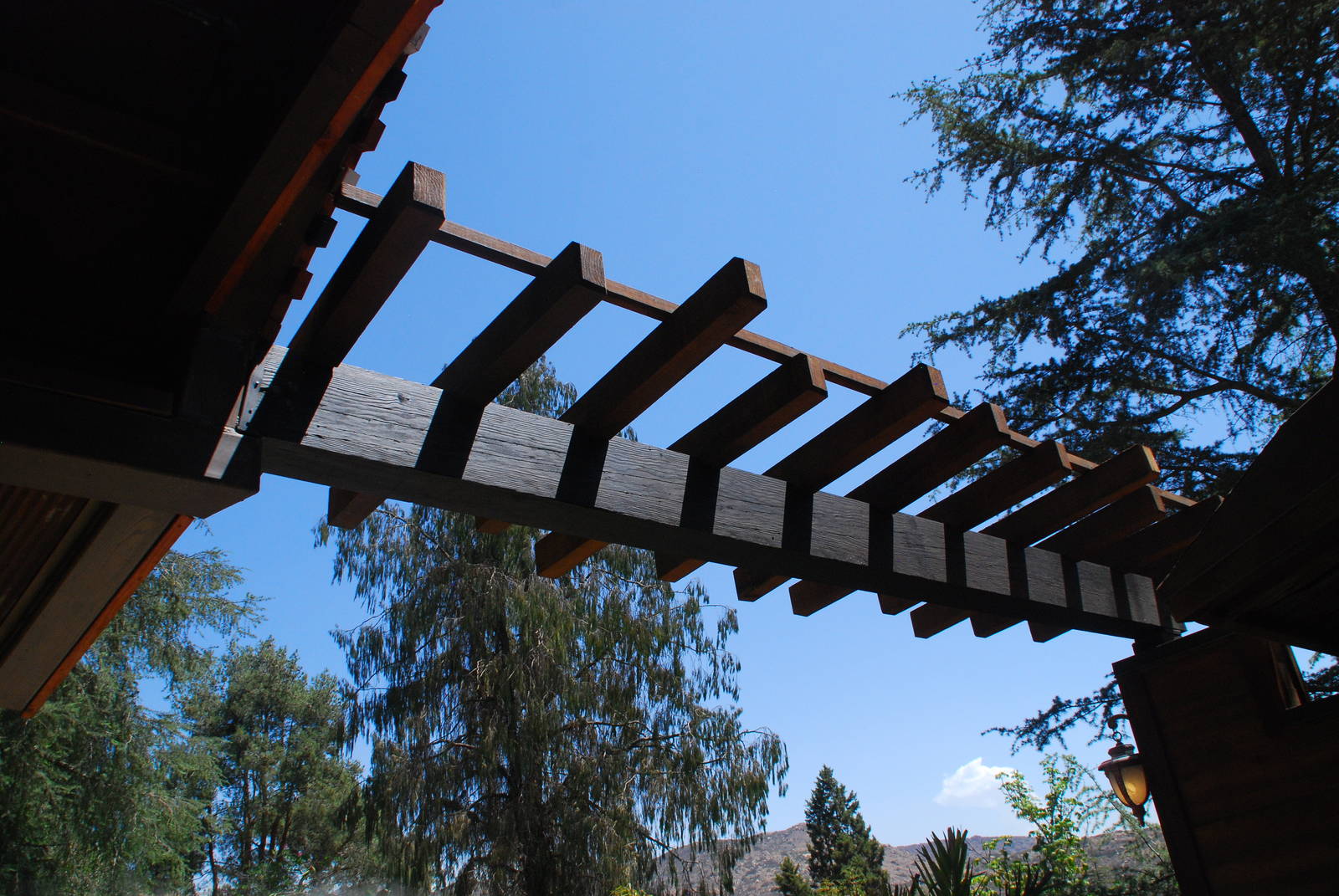 SDWAP - Tiger Trail - Sumatran Longhouse