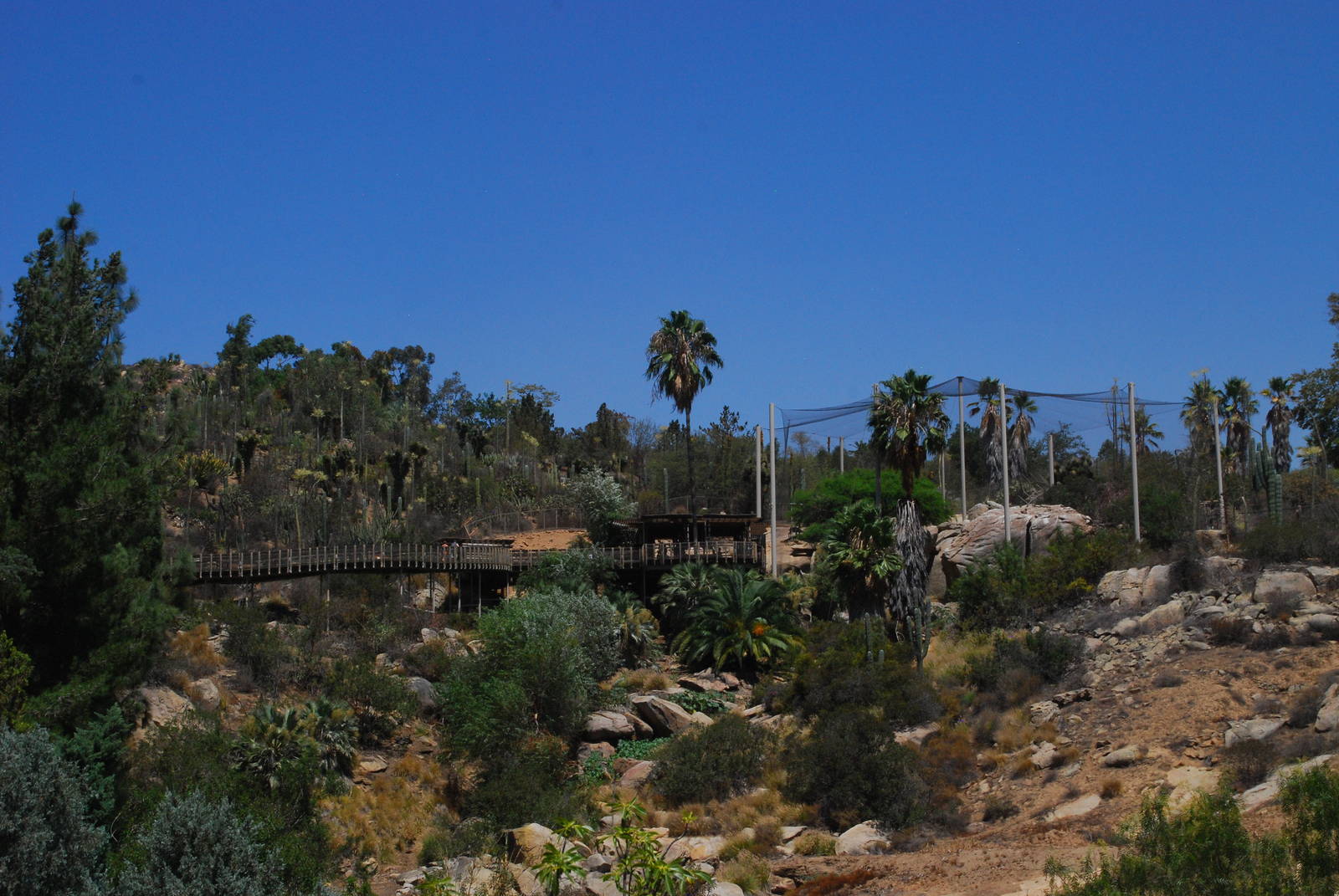 SDWAP - Tiger Trail - view to Condor Ridge