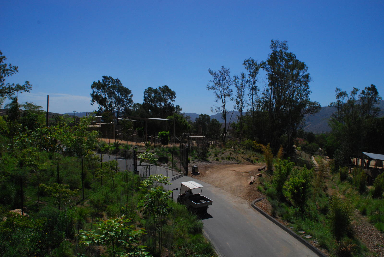 SDWAP - Tiger Trail - View to Elephant from Bridge