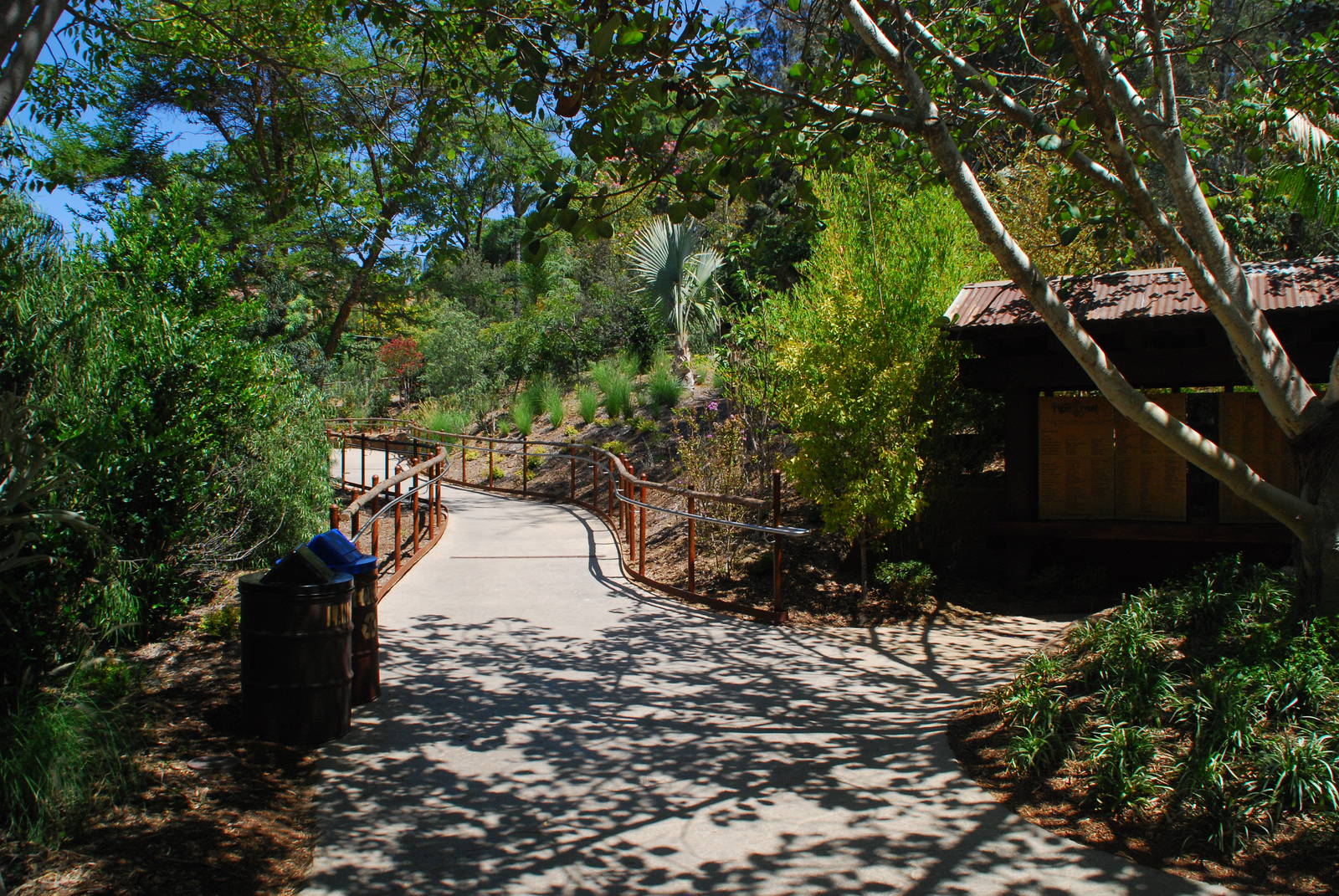 SDWAP - Tiger Trail - Walkway to Condor Ridge