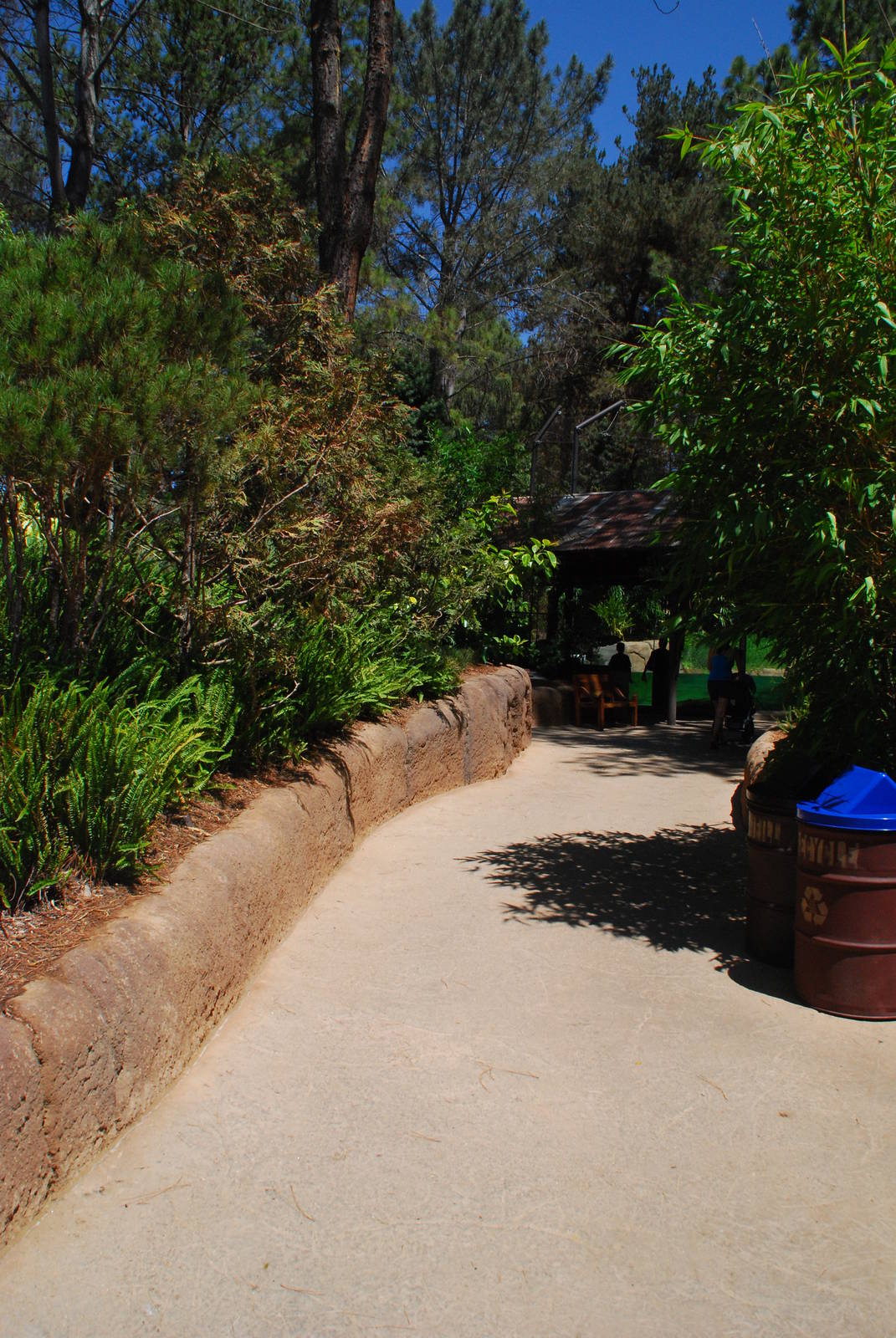 SDWAP - Tiger Trail - Walkway to Pondok