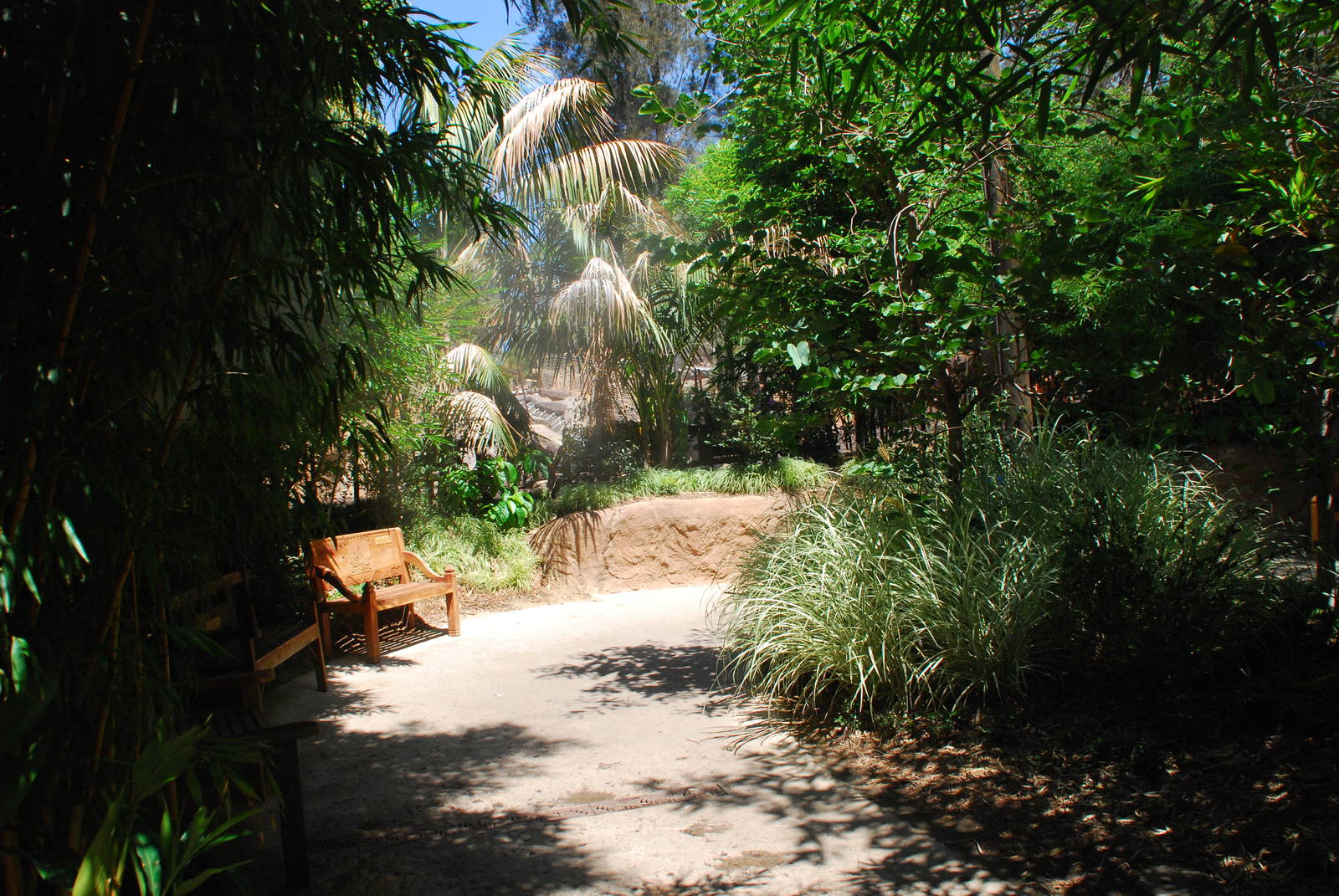 SDWAP - Tiger Trail - Walkway