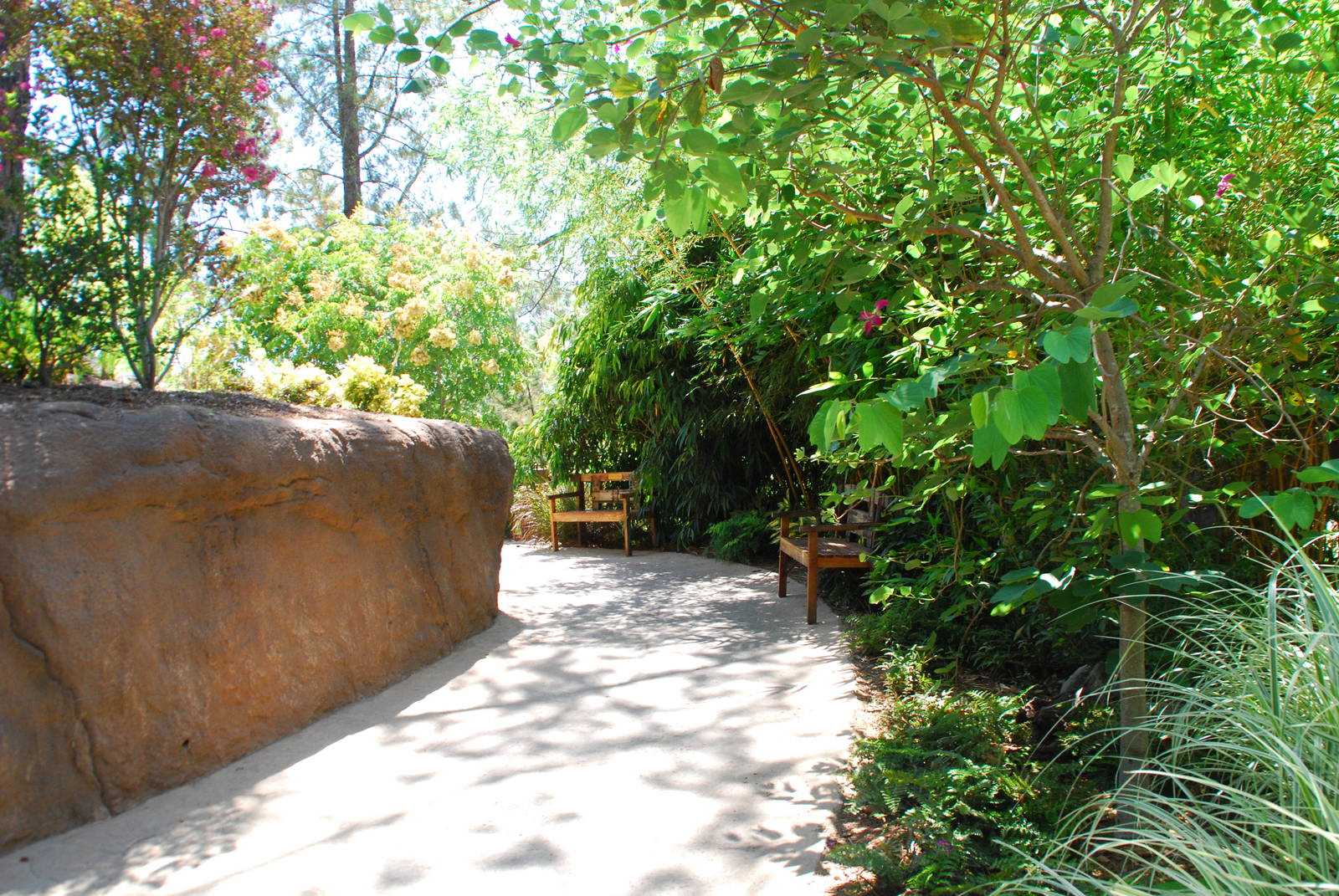 SDWAP - Tiger Trail - Walkway