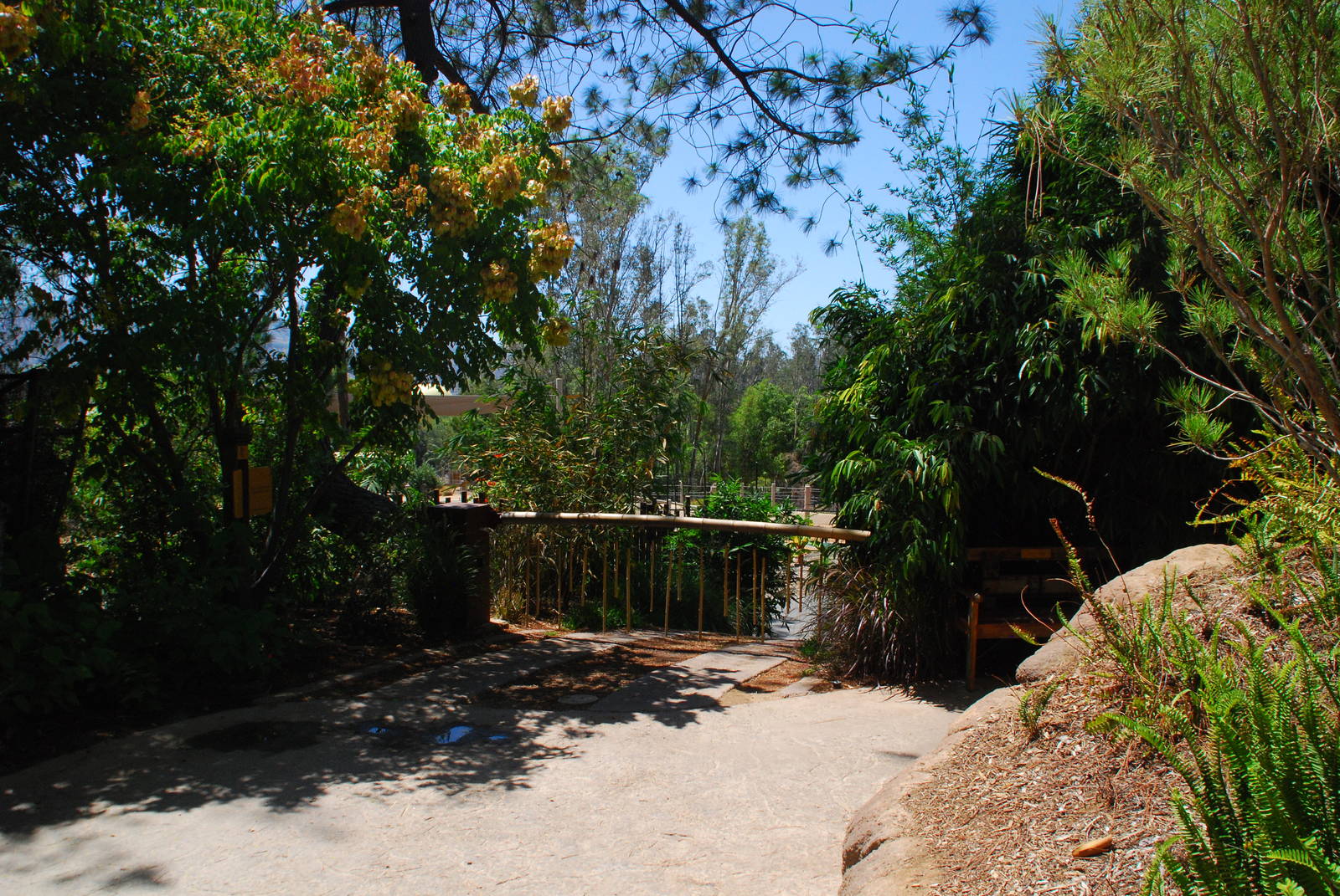 SDWAP - Tiger Trail - Walkway
