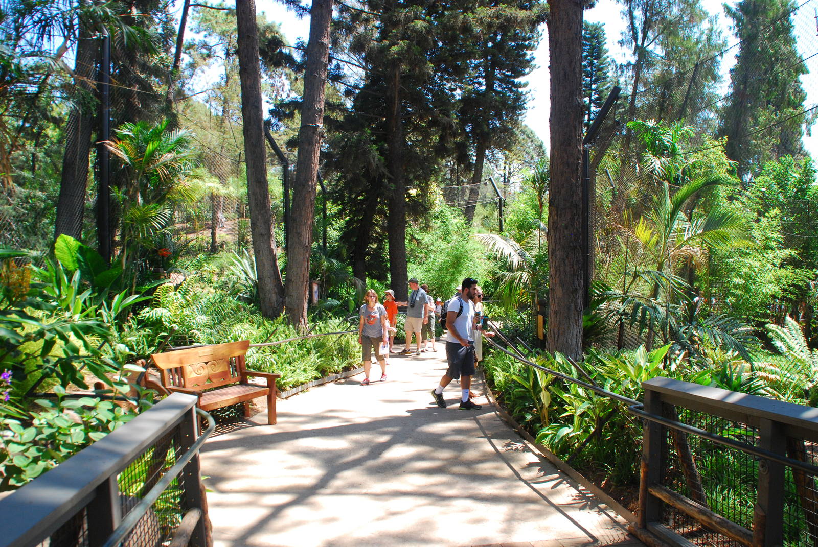 SDWAP - Tiger Trail - Walkway