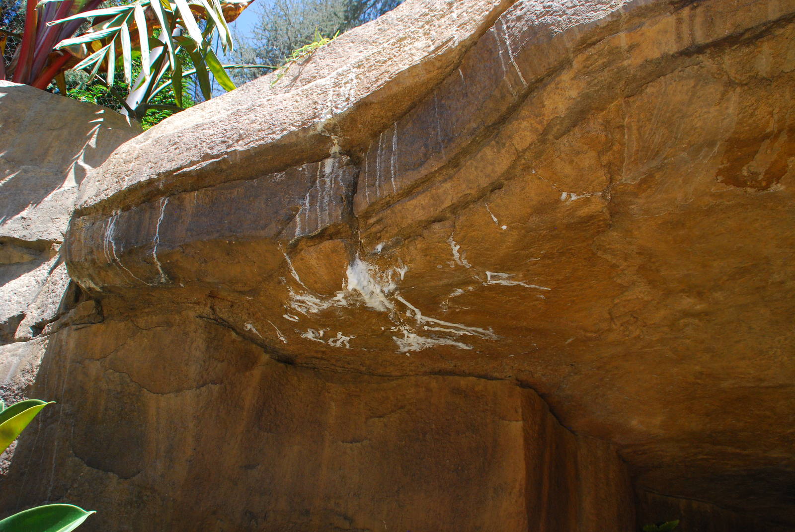 SDWAP - Tiger Trail - Waterfall