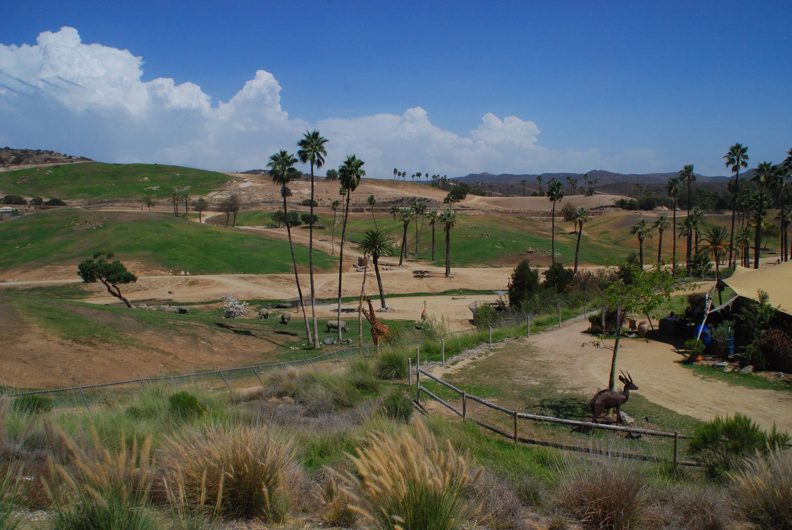 SDWAP - Watering Hole Lounge