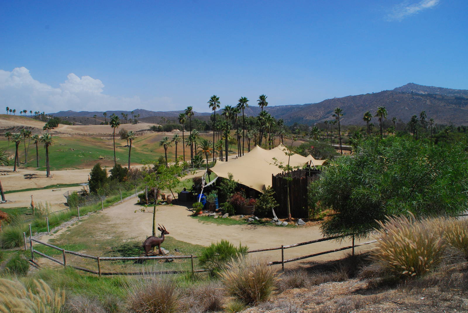 SDWAP - Watering Hole