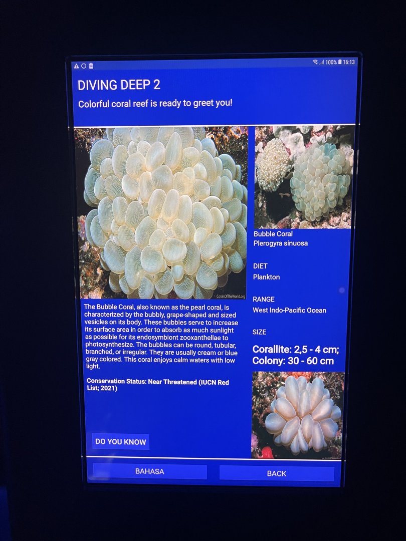 sea anemone tank - bladder coral signage