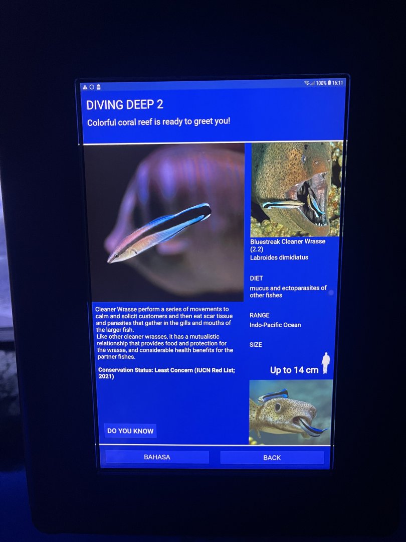 sea anemone tank - bluestreak cleaner wrasse signage