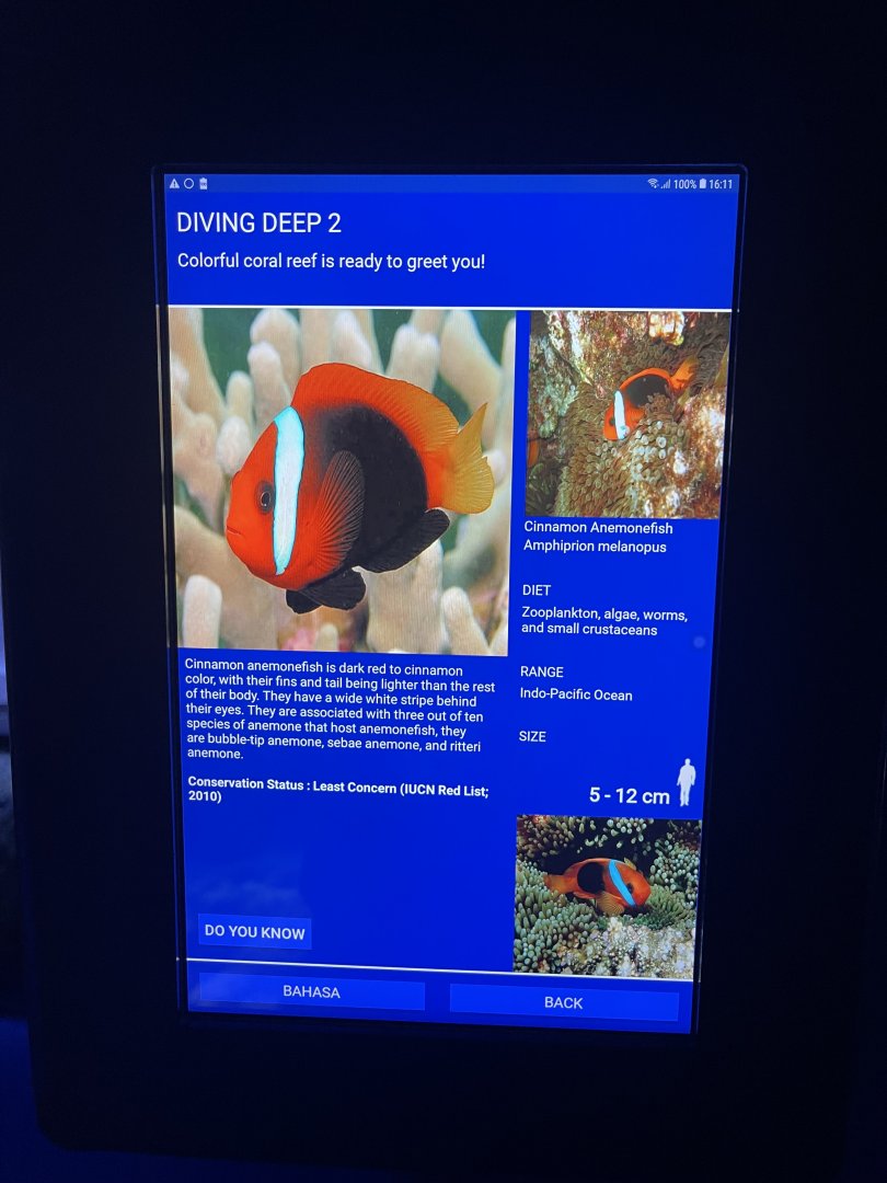 sea anemone tank - cinnamon clownfish signage