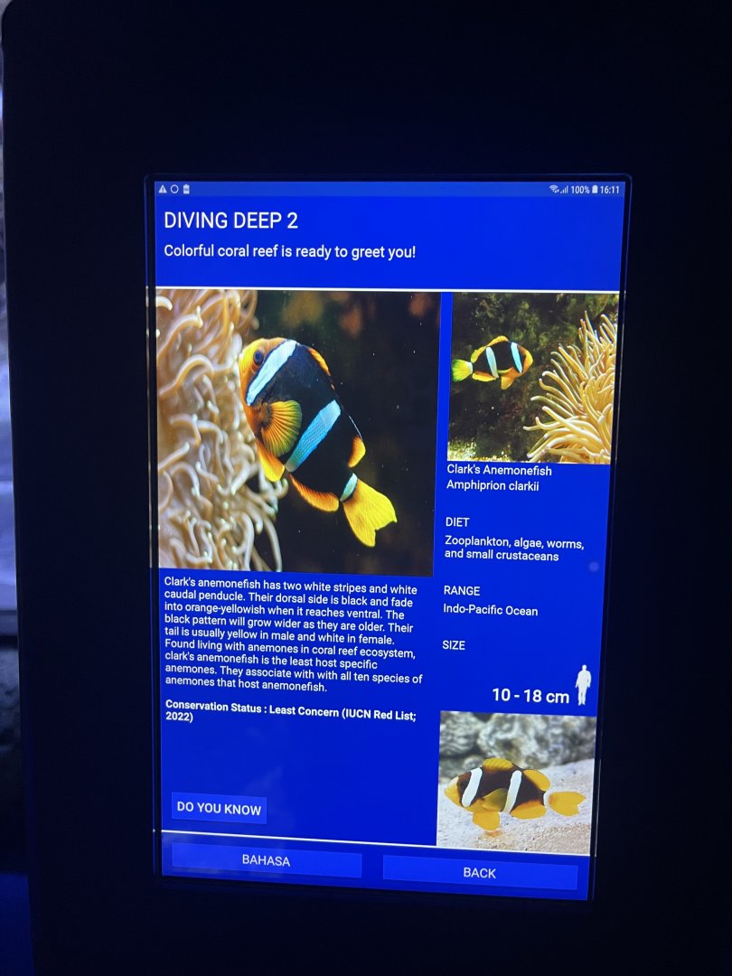 sea anemone tank - clark’s anemonefish signage