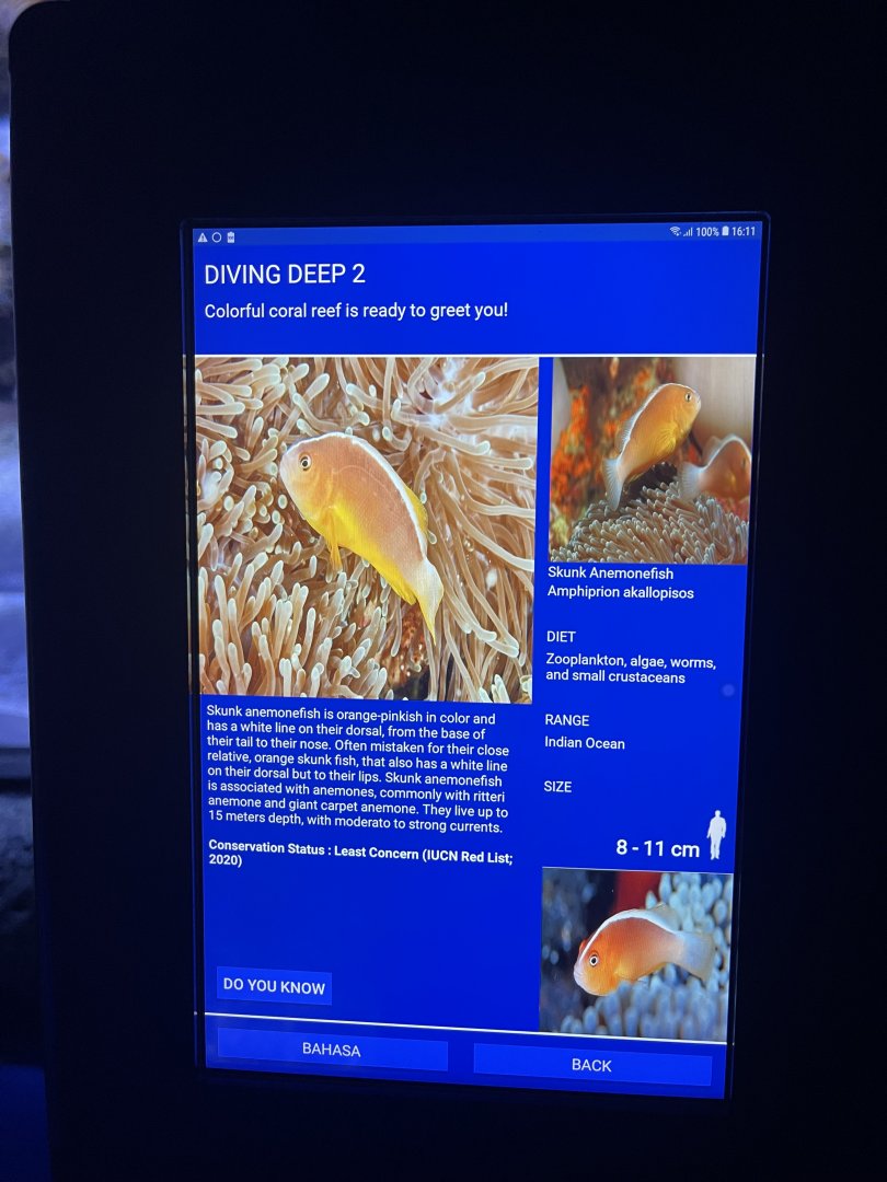 sea anemone tank - pink skunk clownfish signage