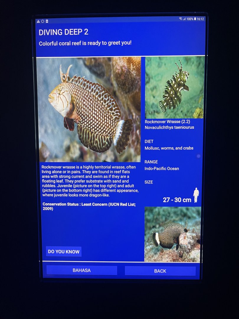 sea anemone tank - rockmover wrasse signage