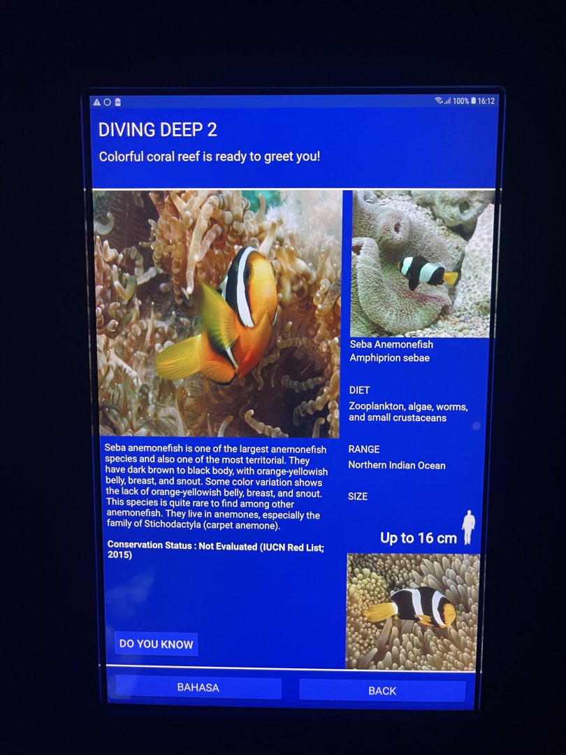 sea anemone tank - sebae clownfish signage