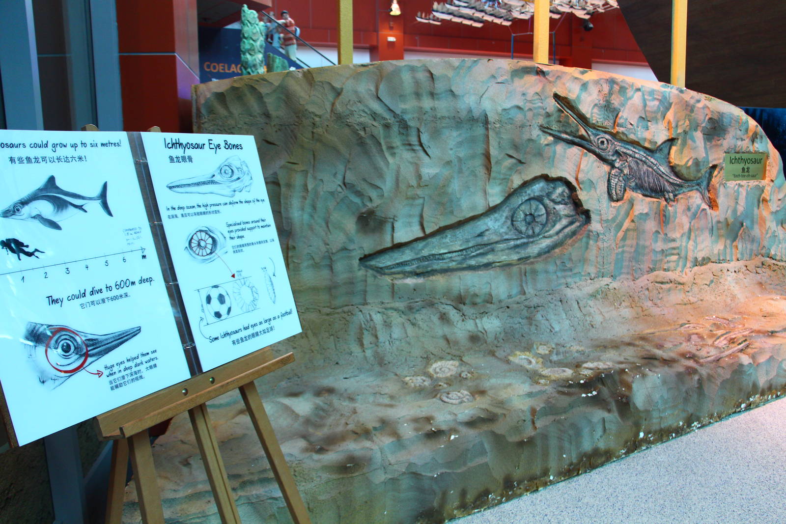 SEA Aquarium - Sea Monsters Past and Present (seasonal display)