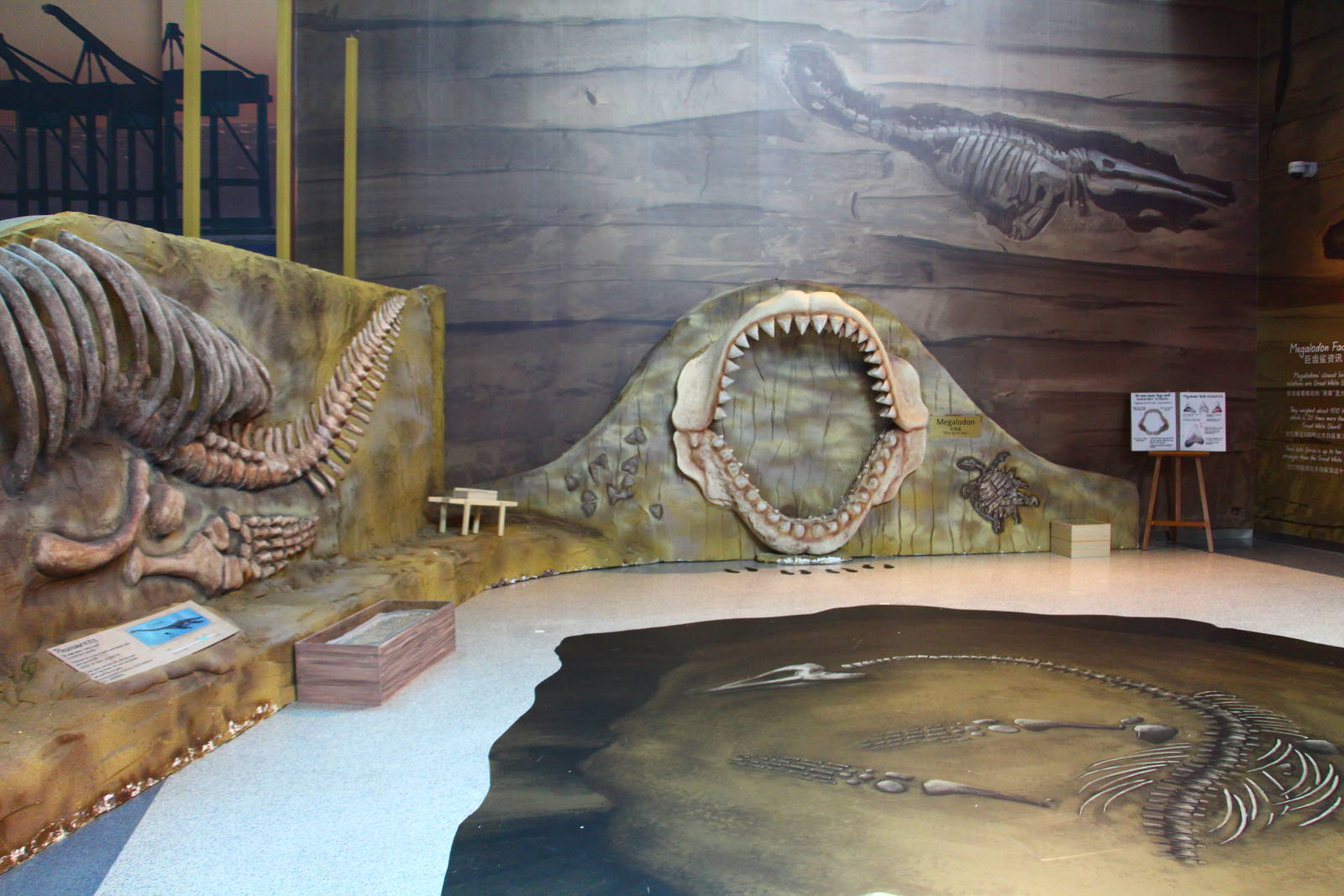 SEA Aquarium - Sea Monsters Past and Present (seasonal display)
