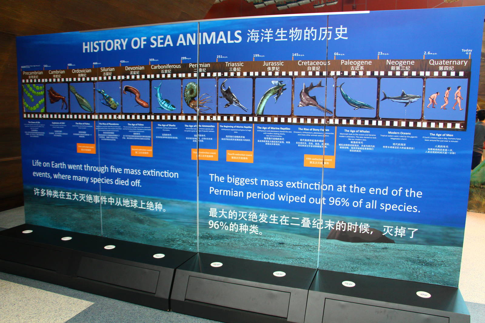 SEA Aquarium - Sea Monsters Past and Present (seasonal display)