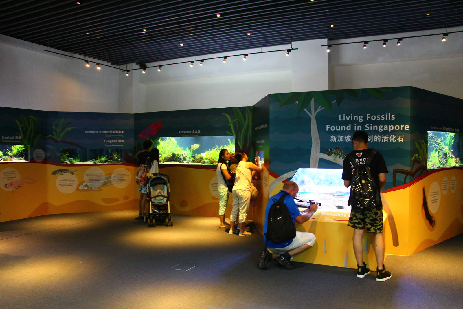 SEA Aquarium - Sea Monsters Past and Present (seasonal display)