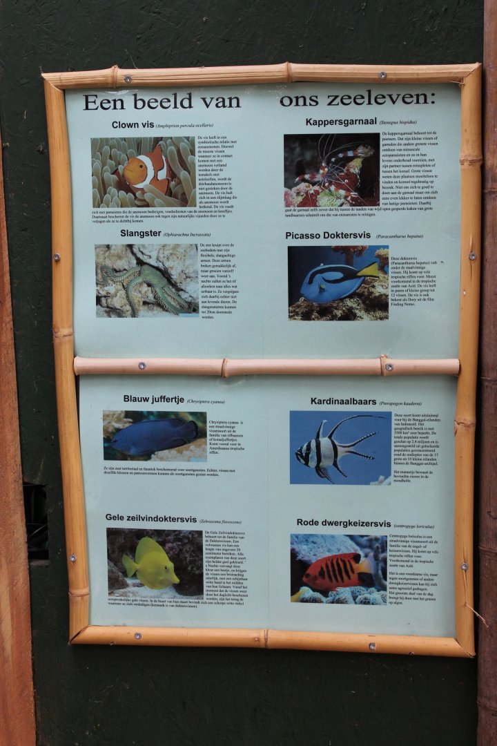 Sea-aquarium signs