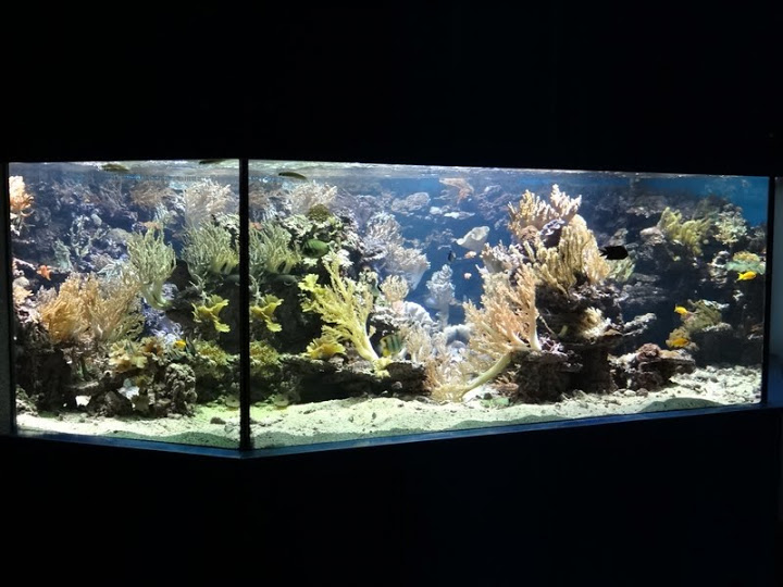 Sea aquarium