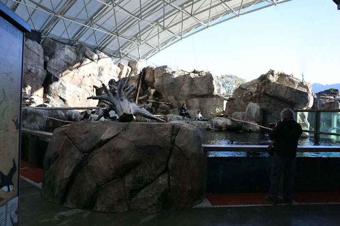 Sea bird aviary and pool