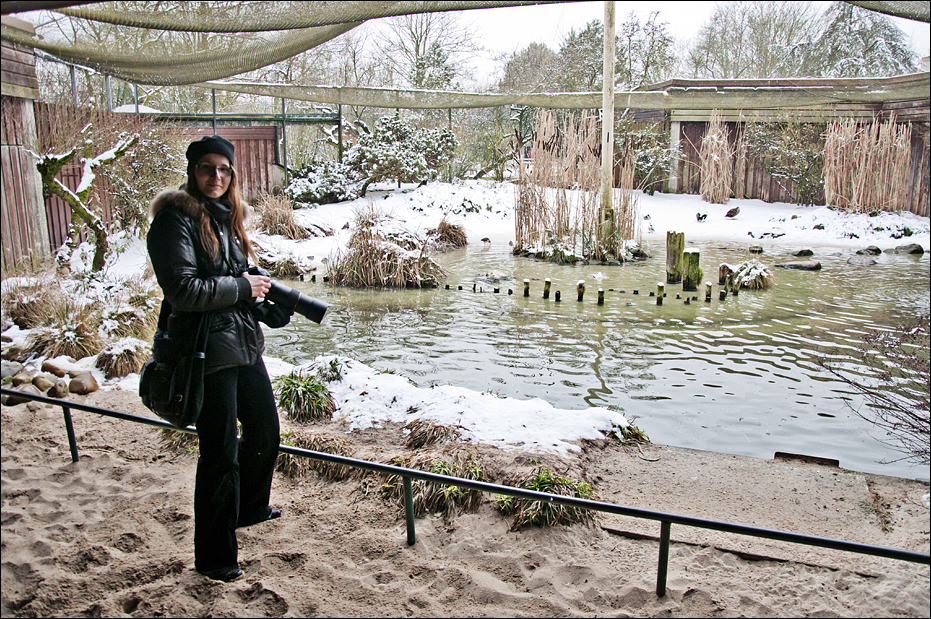 Sea bird aviary at Münster