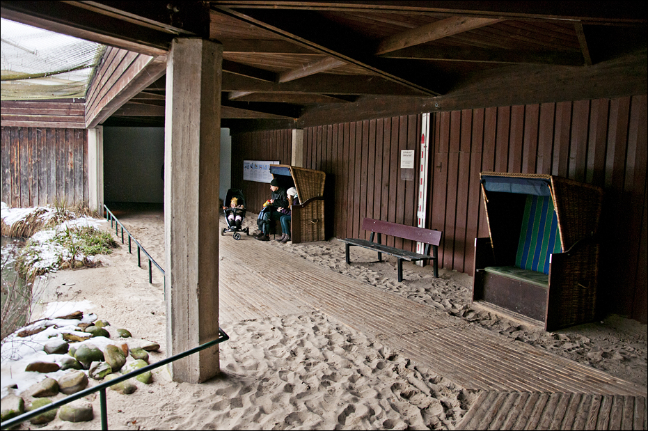 Sea bird aviary at Münster