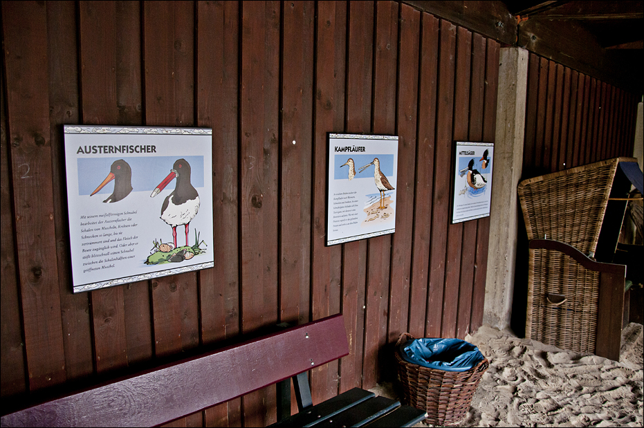 Sea bird aviary at Münster